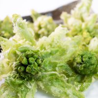 ふきのとう天ぷら